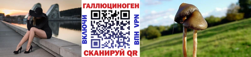 Галлюциногенные грибы Magic Shrooms  Алатырь 